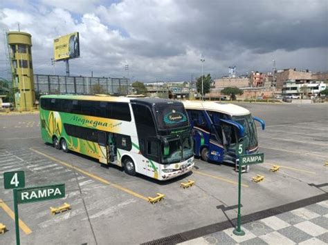 Arequipa Terminal Terrestre Suspende Nuevamente La Venta De Pasajes A