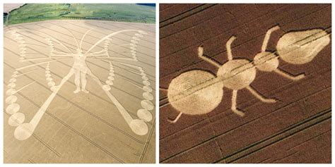 20 Images Of Mysterious Crop Circles That Appeared Without Explanation