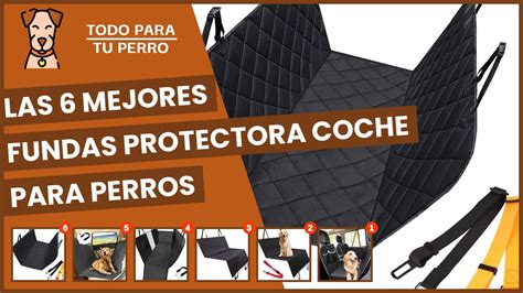 Cu L Es La Mejor Funda Para Asiento De Perro