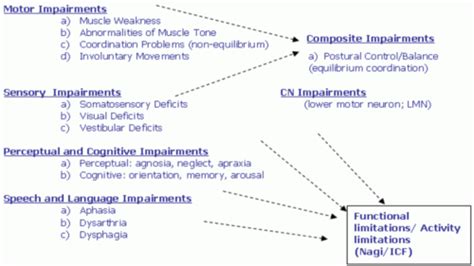 Neuromuscular Exam Units Flashcards Quizlet