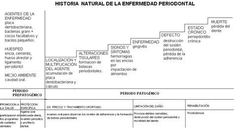 HISTORIA NATURAL DE LA ENFERMEDAD CONCEPTO DE HISTORIA NATURAL DE LA