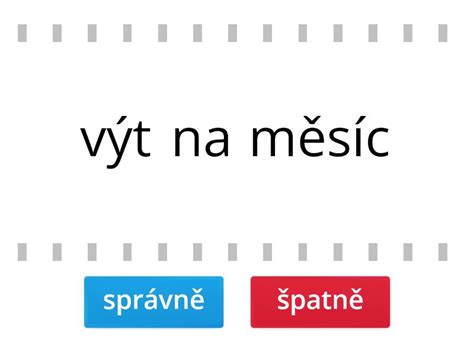 vyjmenovaná slova mix True or false