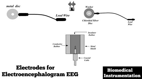 Electrodes for Electroencephalogram (EEG) | Biomedical Instrumentation ...