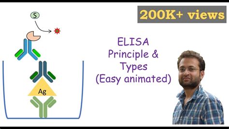 Elisa Enzyme Linked Immunosorbent Assay Youtube