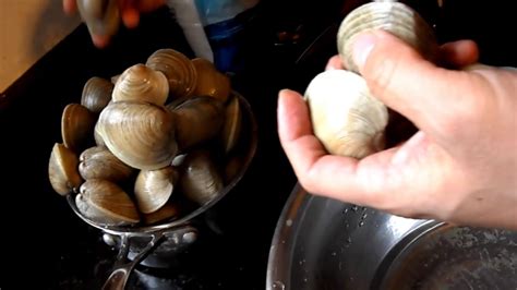 How To Get Sand Out Of Clams And Mussels At Leeann Lindsay Blog