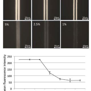 Effect Of Mutated Idh Wild Type Idh Ratio On The Detection Of Mutated