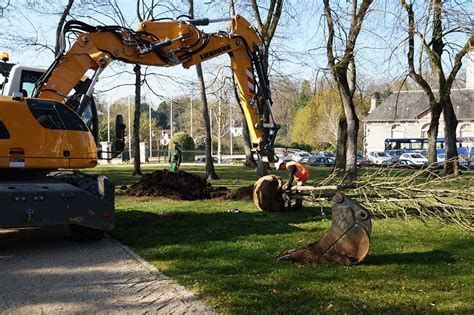 Plantations dans le parc de la Perraudière Vendredi 22 mars 2019