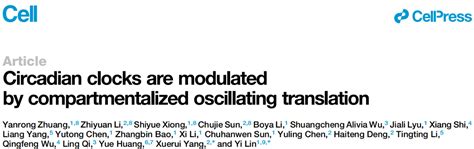 科学网—《细胞》：清华大学吝易 杨雪瑞团队揭示相分离调控节律性蛋白翻译的分子机制 小柯生命的博文