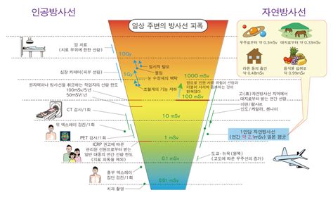 방사선이 건강에 끼치는 영향과 5개의 테마 ⑥일상 주변에서의 피폭 선량 비교