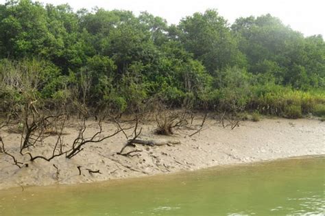 Bhitarkanika National Park | trueIndianTraveller