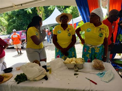 Breadfruit Balls Tobago Reforestation And Watershed Rehabilitation