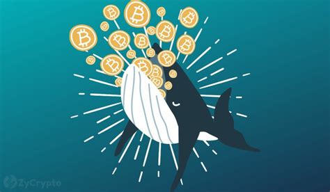 Bull Cycle Reawakens Satoshi Era Bitcoin Whales What Does It Mean For