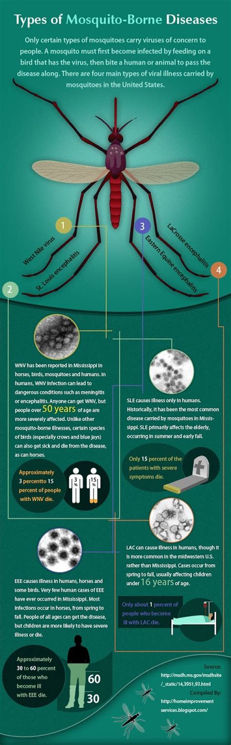 Types Of Mosquito Borne Diseases Infographic Disease Infographic