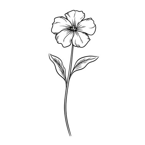 Un Dibujo En Blanco Y Negro De Una Flor Con Un Tallo Largo Foto Premium