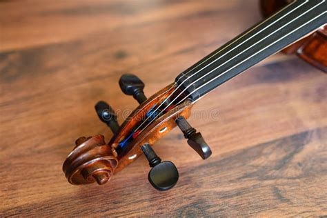 Violin tune chorus head stock photo. Image of orchestra - 117649628