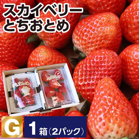 とちぎのいちご食べ比べセット 1箱1箱あたり×2パック とち介とわくわく通販｜栃木市の特産品紹介