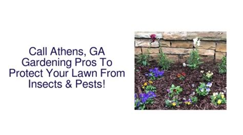 Call Athens GA Gardening Pros To Protect Your Lawn From Insects Pests