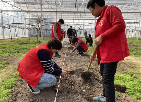 江阴璜土：建好实践小阵地 打造育人大舞台江苏文明网