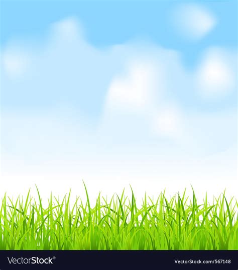 Green Grass And Blue Sky Royalty Free Vector Image