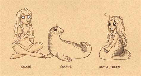 Not a Selkie by StressedJenny on DeviantArt