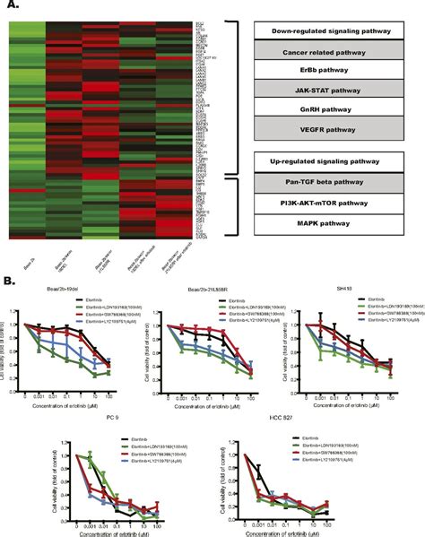 Activation Of The Bmp Bmpr Pathway Conferred Resistance To Egfr Tkis In