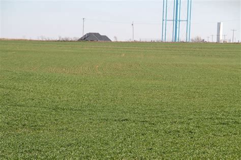 Oklahoma Farm Report Heavy Rains Bring Much Needed Moisture To Plains