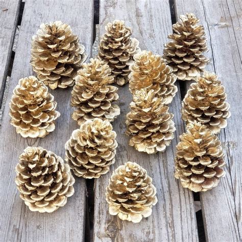 Painted Pine Cones - Etsy