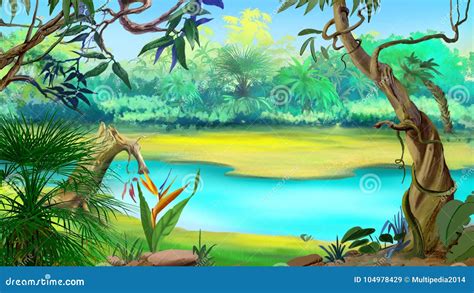 Small River in the Rainforest Stock Illustration - Illustration of hill ...