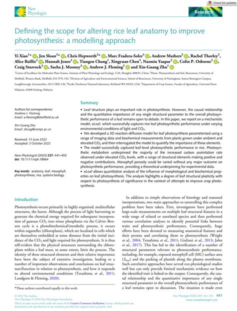 SOLUTION: New phytologist 2022 xiao defining the scope for altering rice leaf anatomy to improve ...