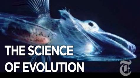 The Science Of Evolution Youtube