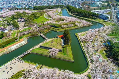 写真 桜前線北海道の見頃はいつ 2023年の北上は記録的な早さに ウェザーニューズが第十回桜開花予想を発表 LIMO