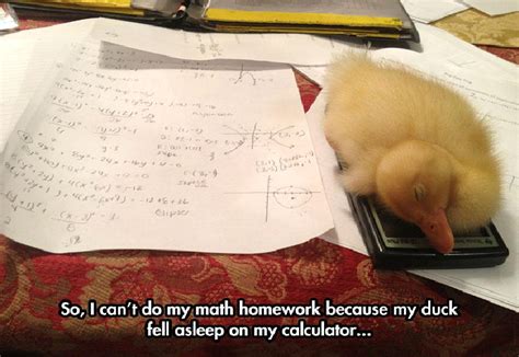 20 Cheeky Reasons You Didn T Do Your Homework