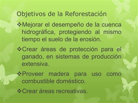 La Reforestacion Diapositivas Ppt