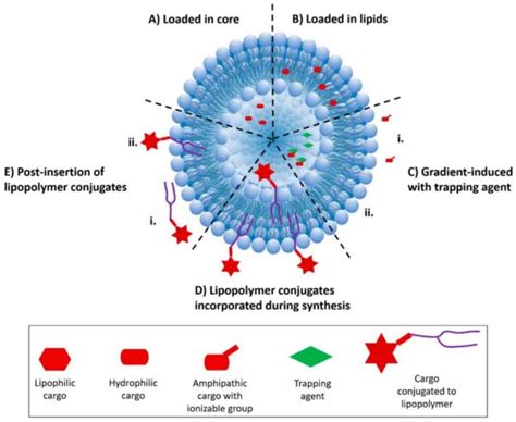 Liposomes Krishgen Biosystems