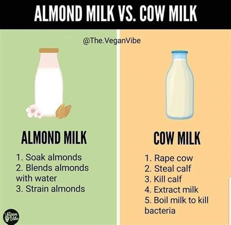 Plant Milk Vs Cow Milk Vegan Vegan Animals Milk Cow