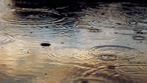 Night Rain Puddle Surface Reflection Stock Footage Video 2121548 ...