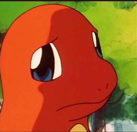 Concerned Charmander for your use : r/MemeTemplatesOfficial