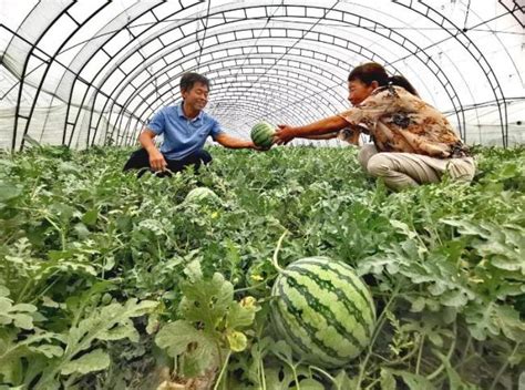 菏泽曹县青岗集镇江海村：乡村变身“绿富美”，水清木秀生活甜 山东站 中华网