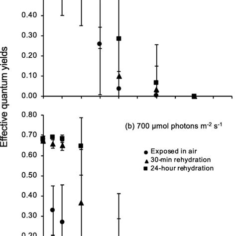 The chronological change of photochemical efficiency ΔF Fm in