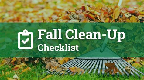 Fall Clean-Up Checklist for Your Yard | All Metro Service Companies