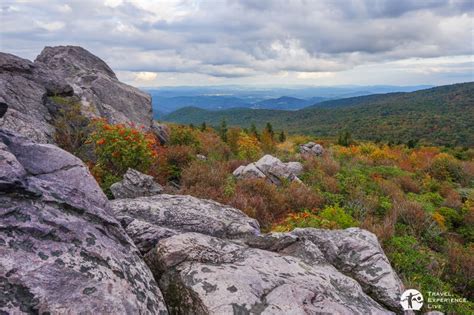 Virginias Grayson Highlands A Photo Essay Travel Experience Live