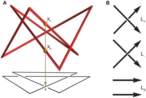 A Knot Diagram And Illustration Of The Conway Skein Triple A Three