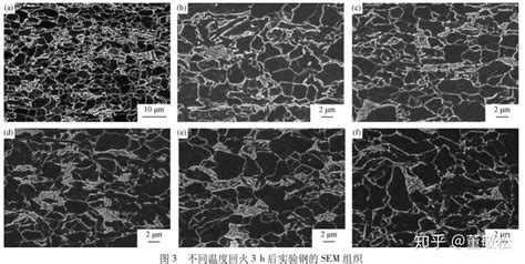 回火温度对铁素体 粒状贝氏体钢显微组织及力学性能的影响 知乎
