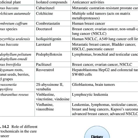 (PDF) Mechanism of Action of Anticancer Herbal Medicines