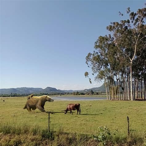 Dinossauros em cenários reais são destaques nas redes sociais – Revista