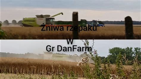 Niwa Rzepaku W Gr Danfarm Claas Lexion Nh T Youtube