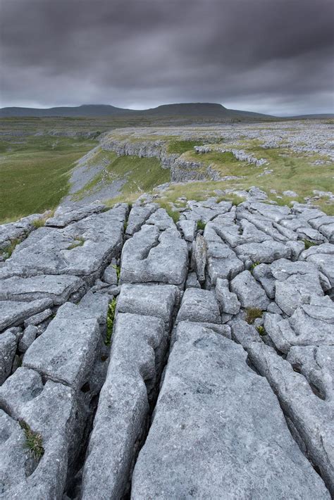 Yorkshire Dales Limestone Pavements Photography Workshop David