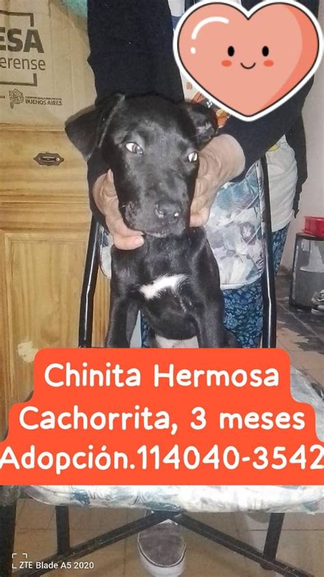 Simonita On Twitter Rt Tabyta Buscando Familia Decente Y