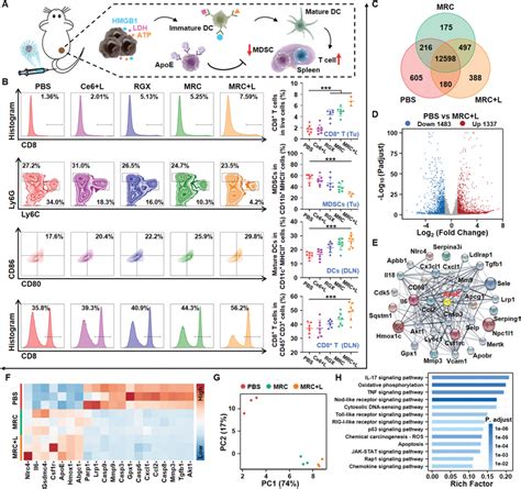 Anticancer Immunity Response Of MRC NPs And Transcriptomic Analysis A