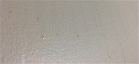 What Are These Gross Brown Spots On My Bathroom Walls